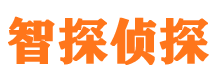 进贤外遇调查取证